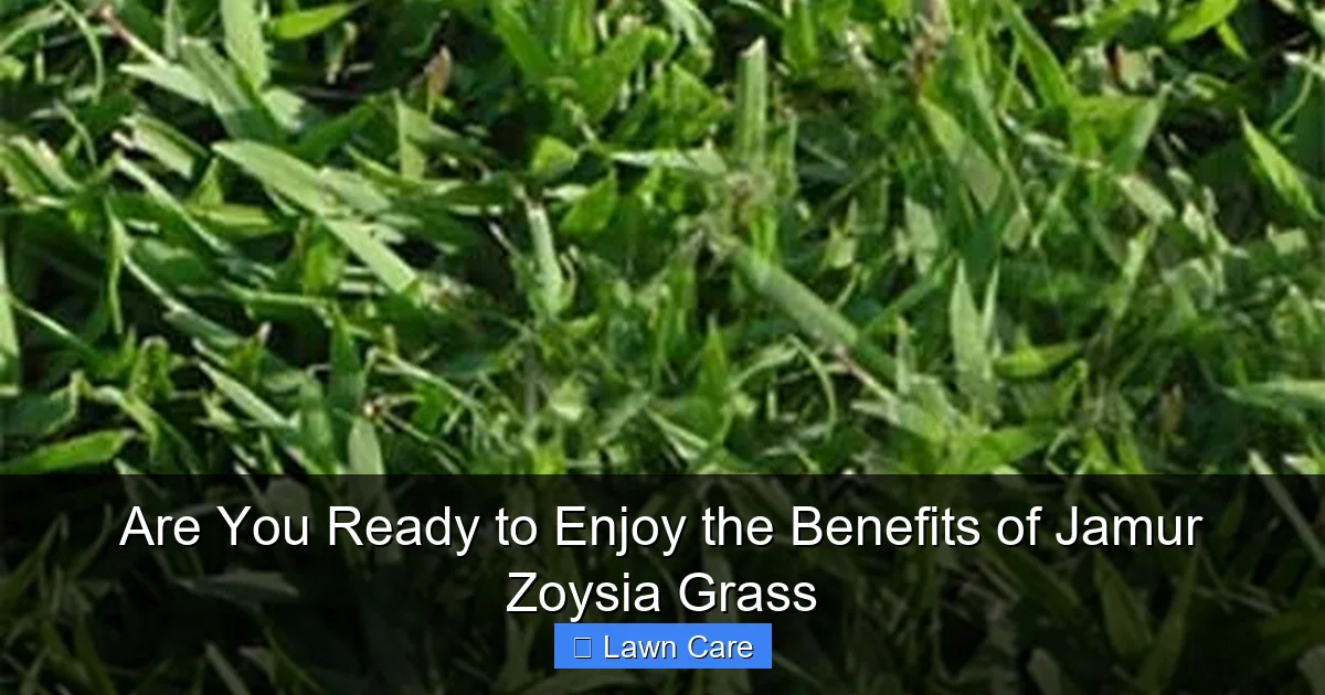 Are You Ready to Enjoy the Benefits of Jamur Zoysia Grass