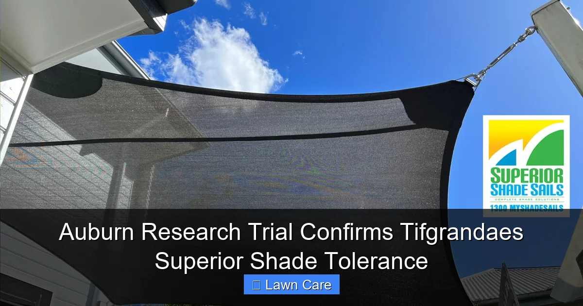 Auburn Research Trial Confirms Tifgrandaes Superior Shade Tolerance