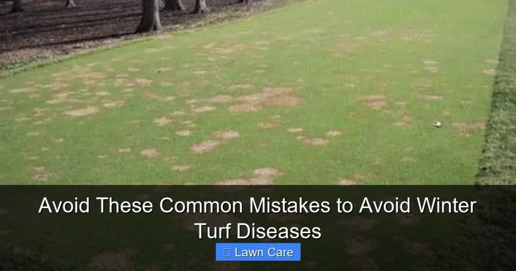 Avoid These Common Mistakes to Avoid Winter Turf Diseases