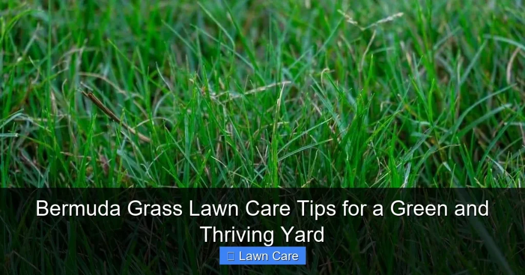 Bermuda Grass Lawn Care Tips for a Green and Thriving Yard