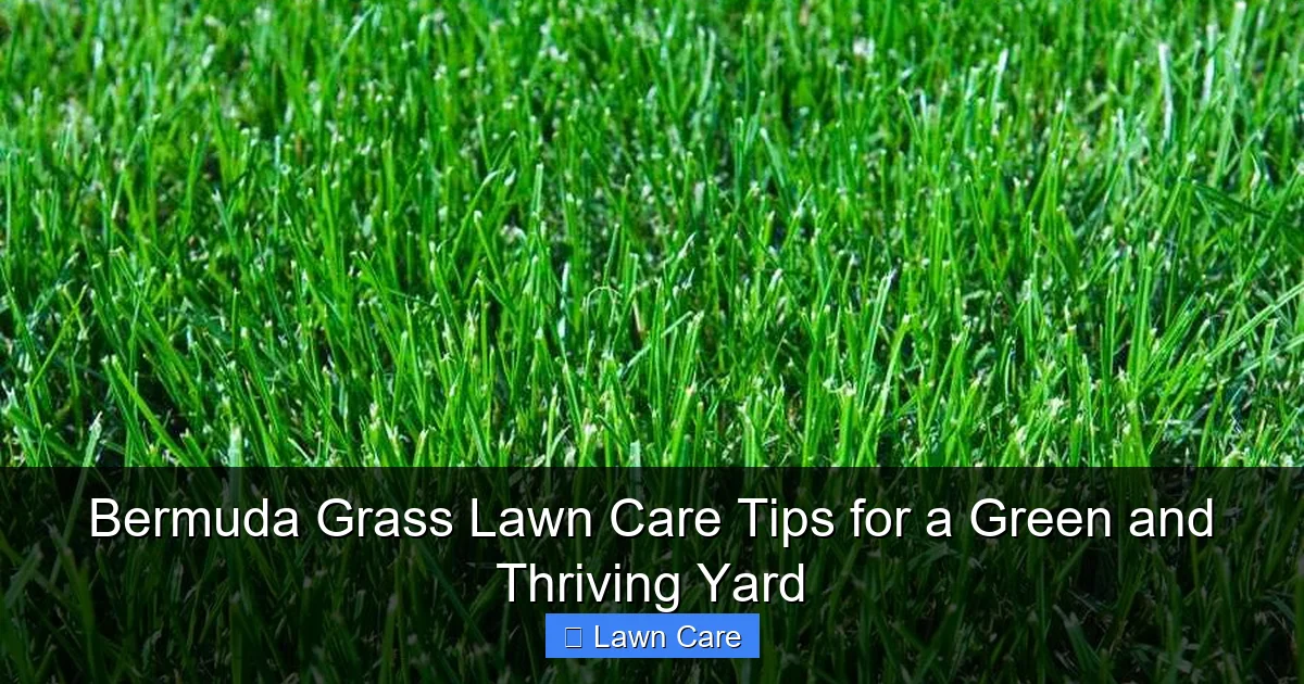 Bermuda Grass Lawn Care Tips for a Green and Thriving Yard