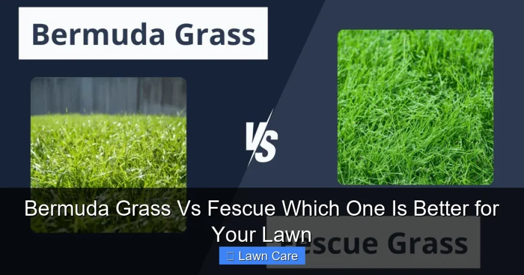 Bermuda Grass Vs Fescue Which One Is Better for Your Lawn