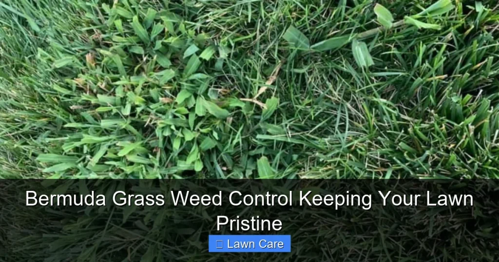 Bermuda Grass Weed Control Keeping Your Lawn Pristine