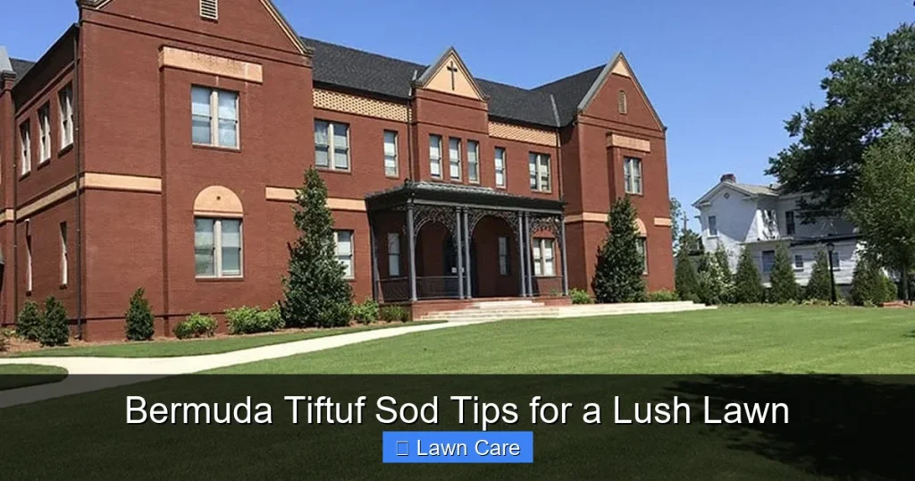 Bermuda Tiftuf Sod Tips for a Lush Lawn