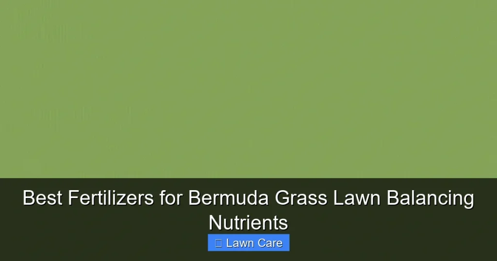 Best Fertilizers for Bermuda Grass Lawn Balancing Nutrients