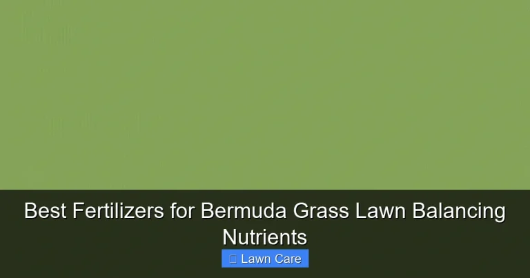 Best Fertilizers for Bermuda Grass Lawn Balancing Nutrients