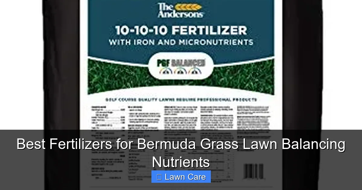 Best Fertilizers for Bermuda Grass Lawn Balancing Nutrients