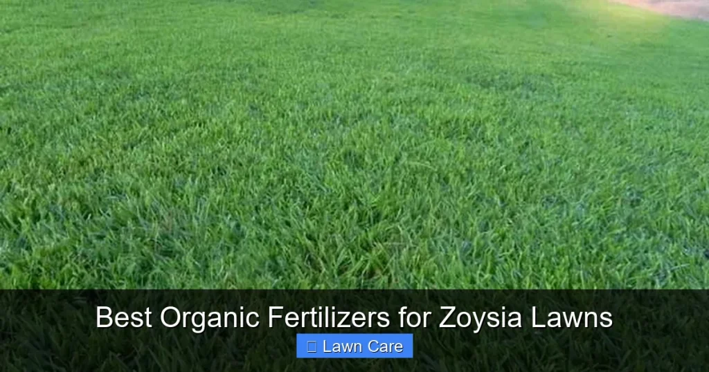 Best Organic Fertilizers for Zoysia Lawns