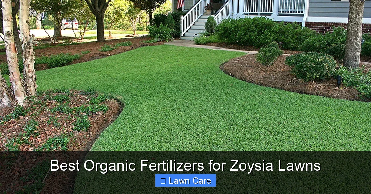 Best Organic Fertilizers for Zoysia Lawns