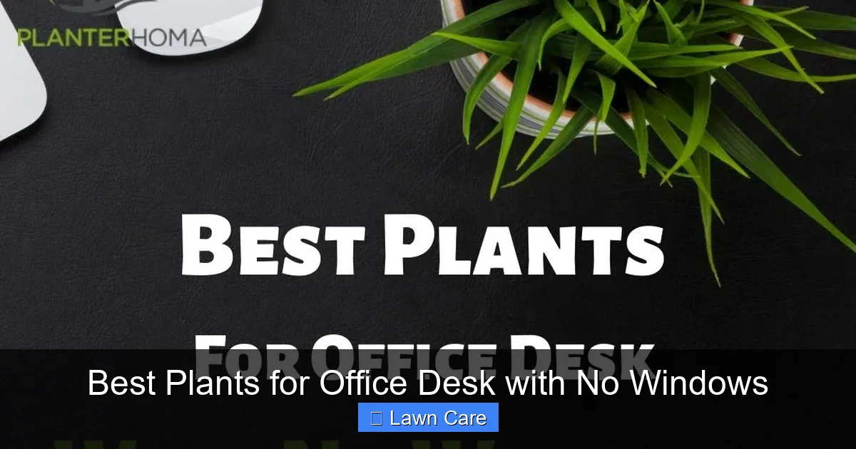 Best Plants for Office Desk with No Windows