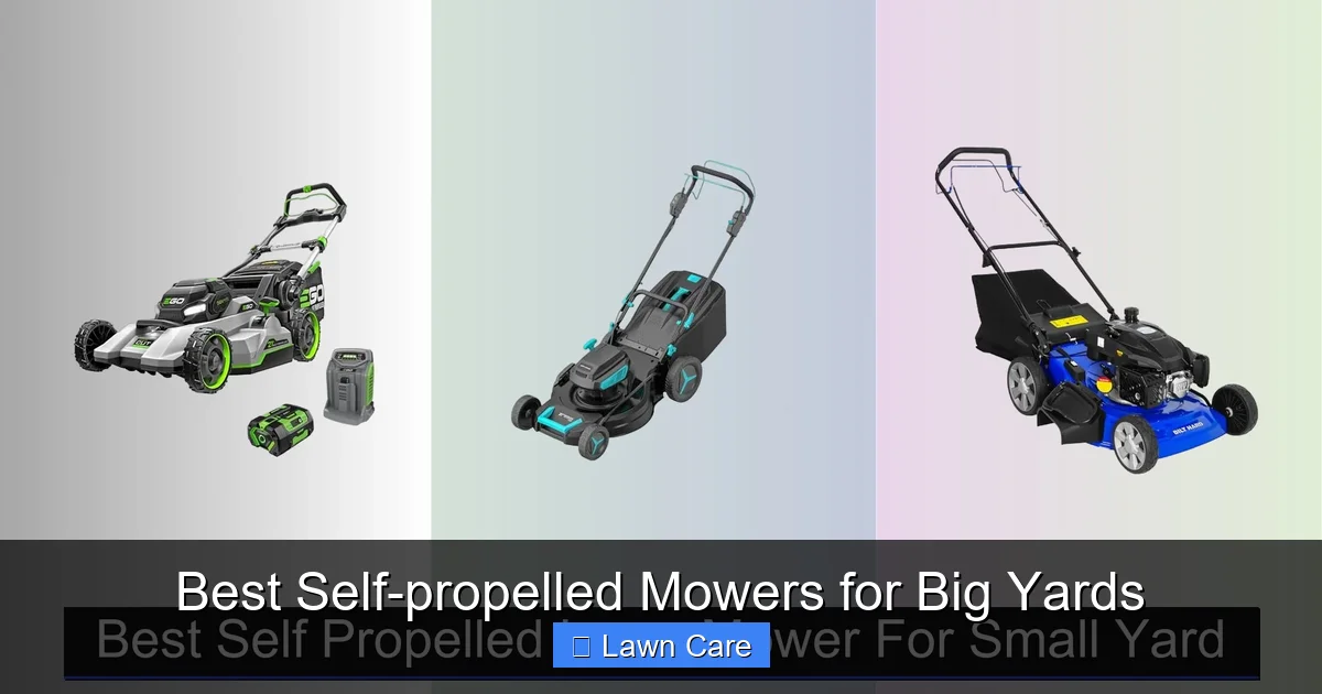 Best Self-propelled Mowers for Big Yards