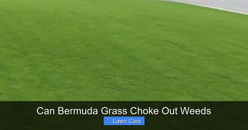 Can Bermuda Grass Choke Out Weeds