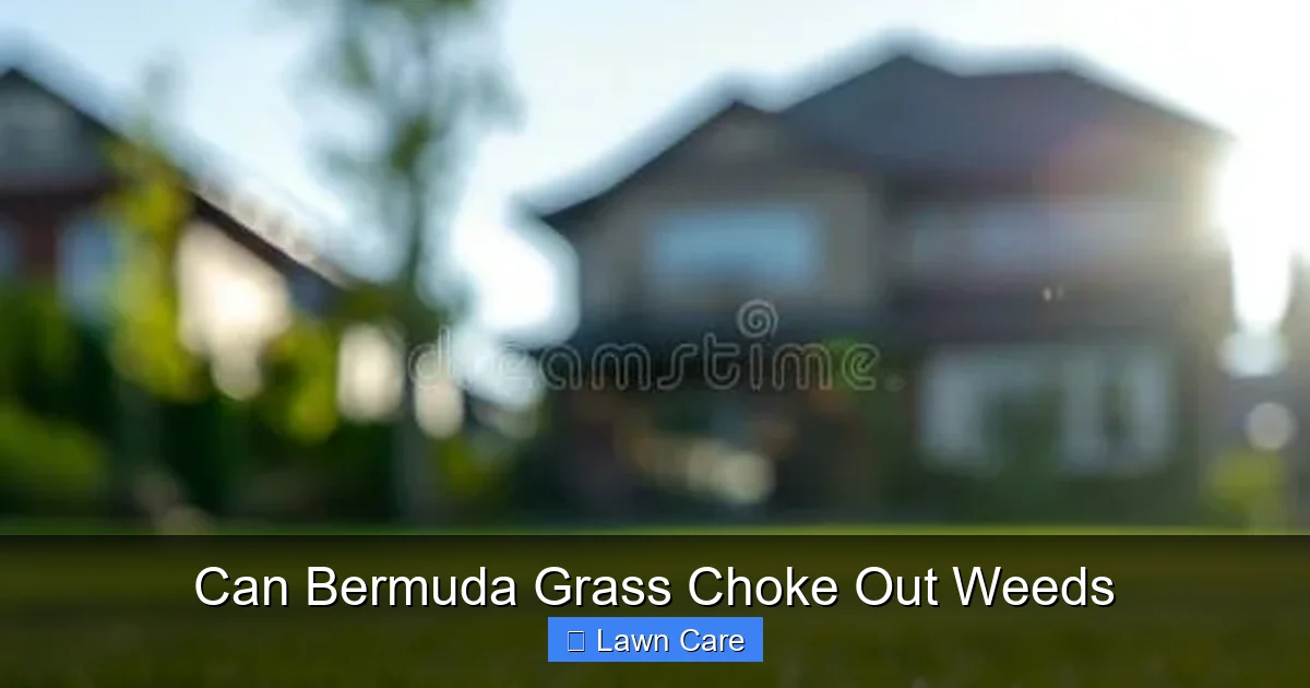 Can Bermuda Grass Choke Out Weeds