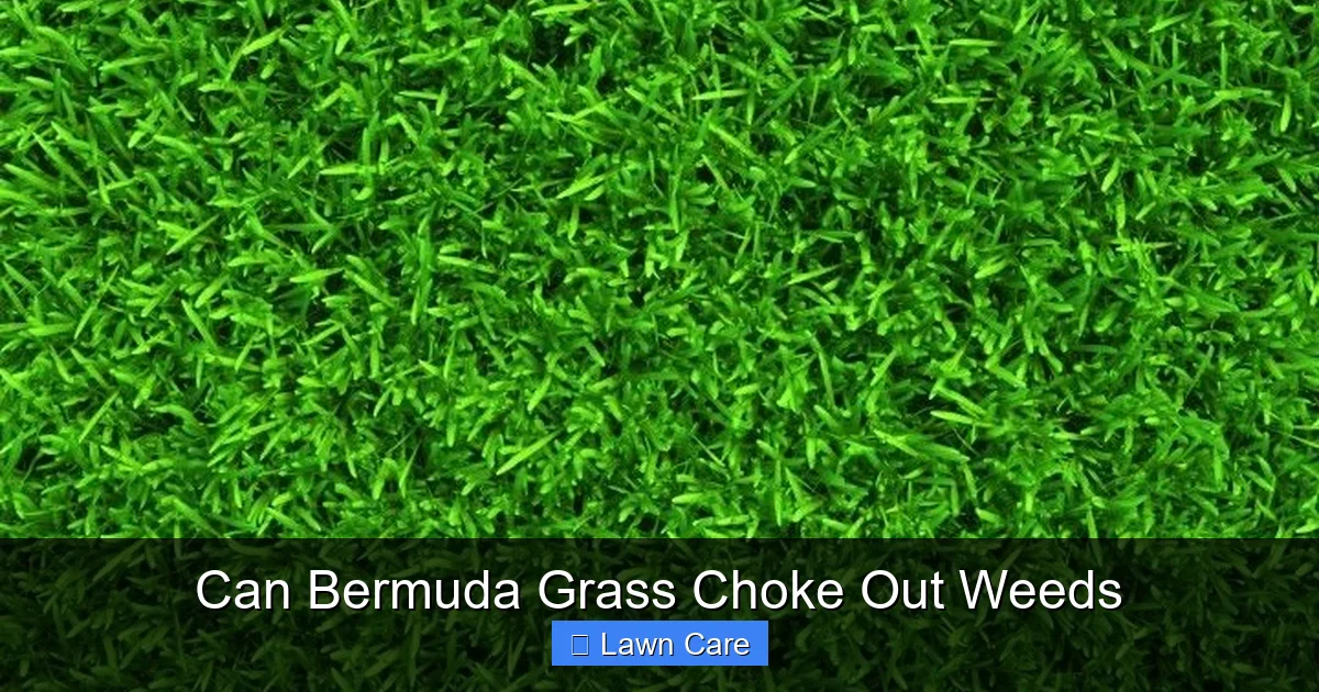 Can Bermuda Grass Choke Out Weeds