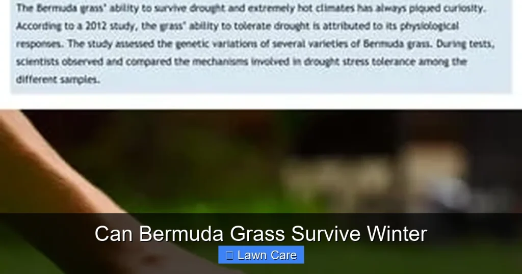 Can Bermuda Grass Survive Winter