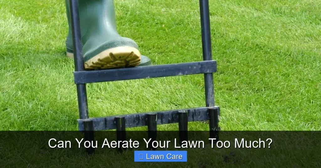 Can You Aerate Your Lawn Too Much?
