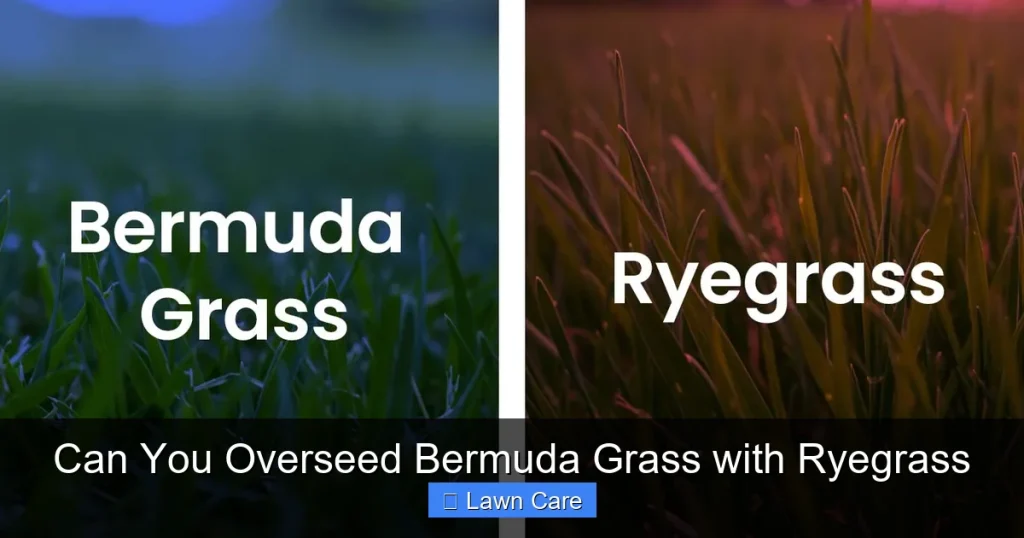 Can You Overseed Bermuda Grass with Ryegrass