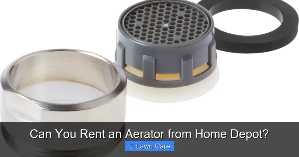 Can You Rent an Aerator from Home Depot?