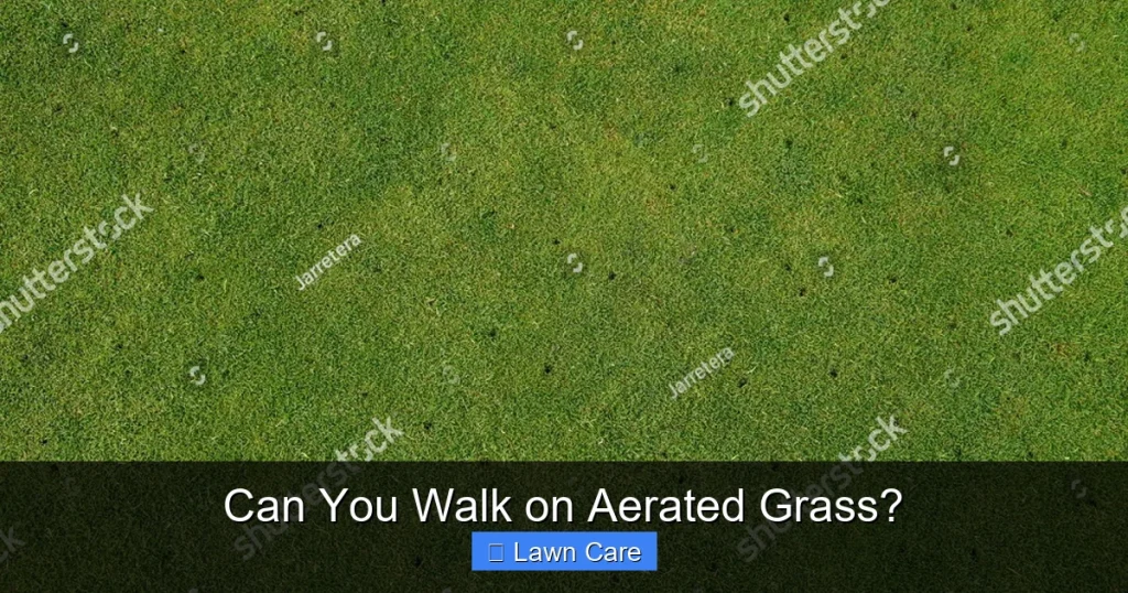 Can You Walk on Aerated Grass?