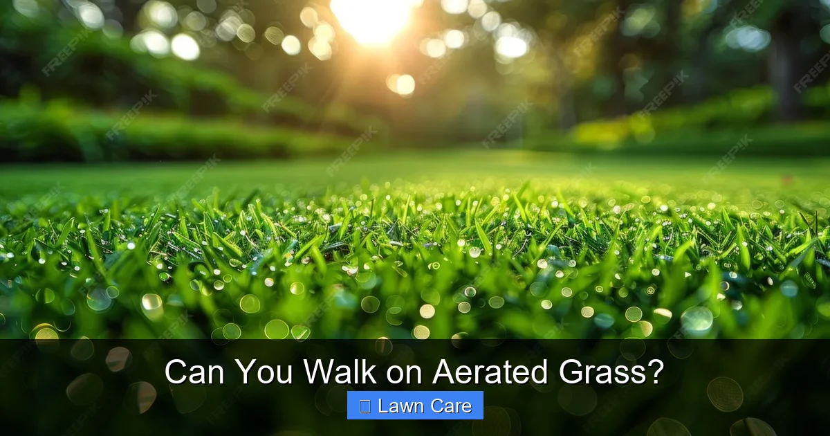 Can You Walk on Aerated Grass?