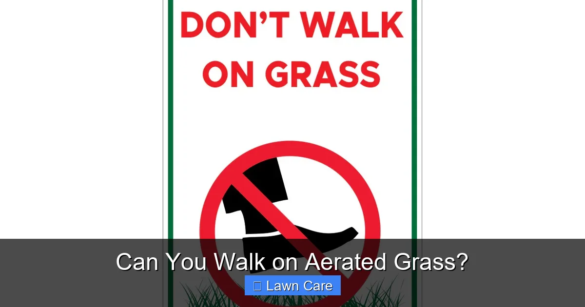 Can You Walk on Aerated Grass?