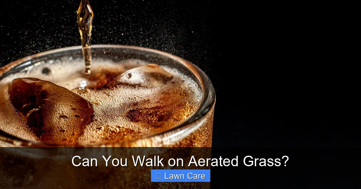 Can You Walk on Aerated Grass?