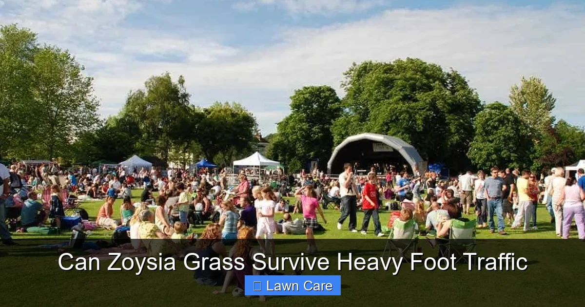 Can Zoysia Grass Survive Heavy Foot Traffic