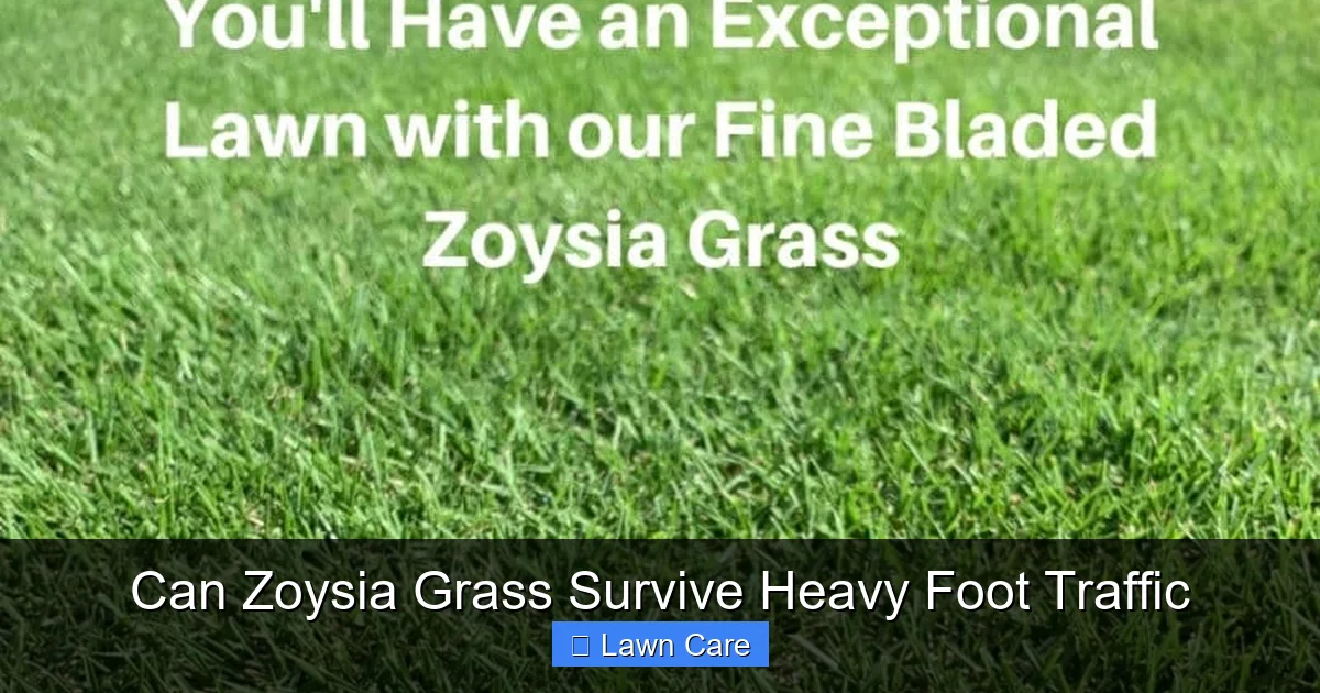 Can Zoysia Grass Survive Heavy Foot Traffic