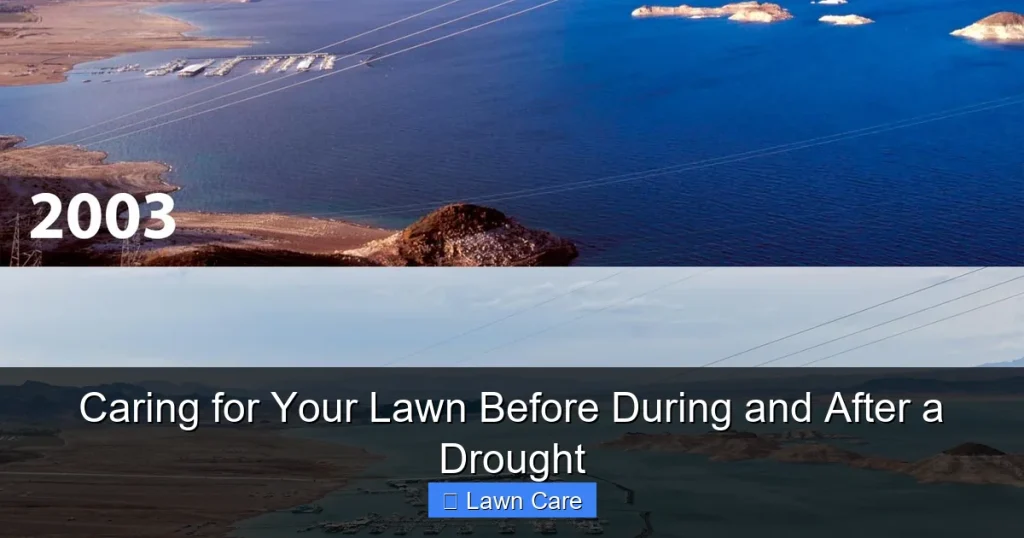 Caring for Your Lawn Before During and After a Drought