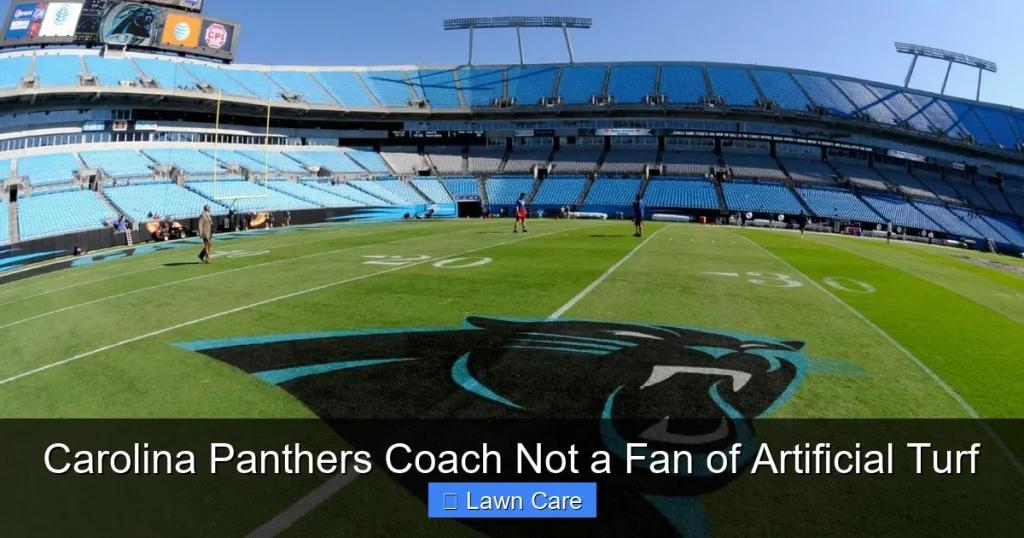 Carolina Panthers Coach Not a Fan of Artificial Turf