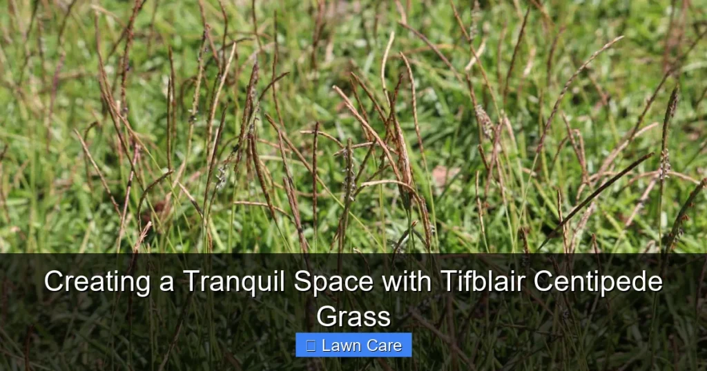 Creating a Tranquil Space with Tifblair Centipede Grass