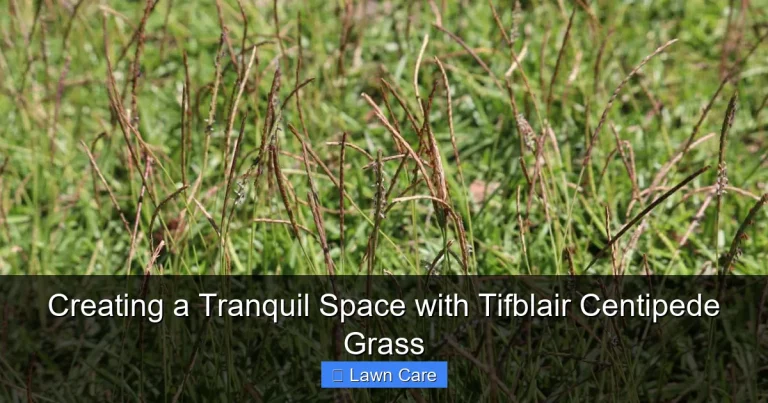 Creating a Tranquil Space with Tifblair Centipede Grass