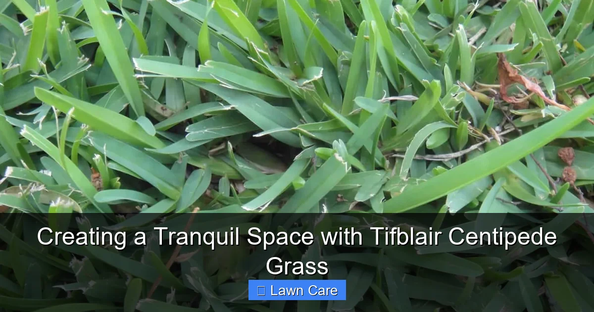Creating a Tranquil Space with Tifblair Centipede Grass