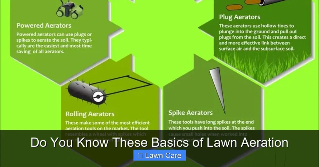 Do You Know These Basics of Lawn Aeration