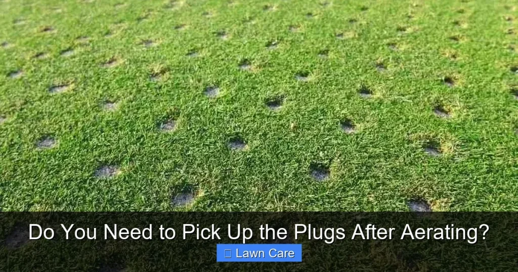 Do You Need to Pick Up the Plugs After Aerating?