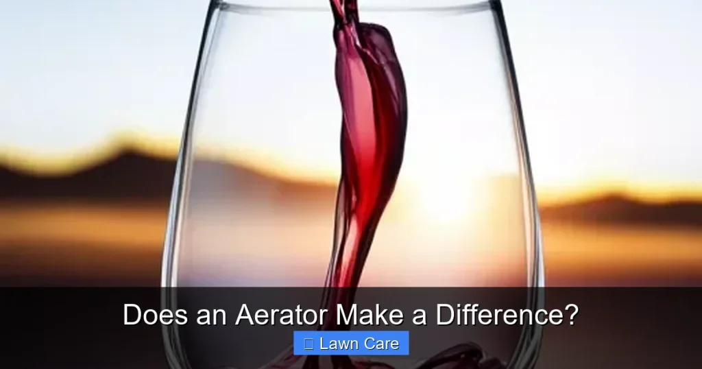 Does an Aerator Make a Difference?