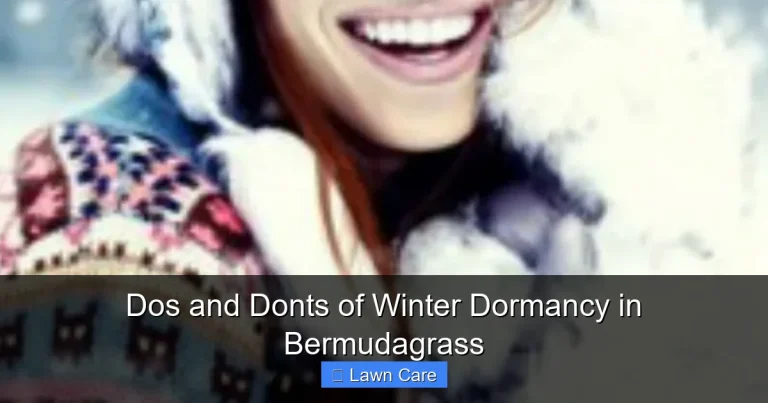 Dos and Donts of Winter Dormancy in Bermudagrass