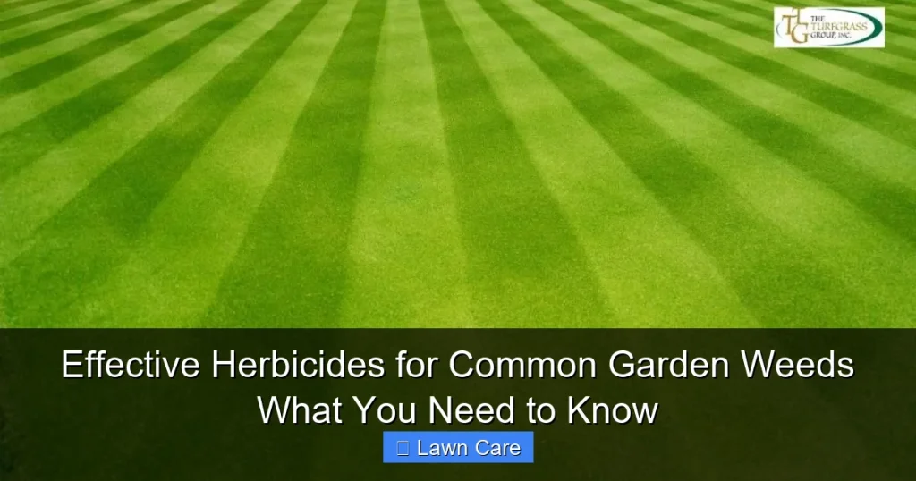 Effective Herbicides for Common Garden Weeds What You Need to Know
