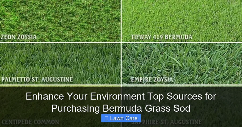 Enhance Your Environment Top Sources for Purchasing Bermuda Grass Sod