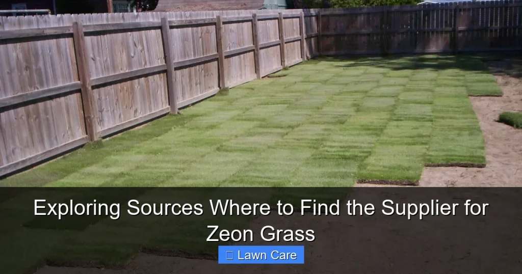 Exploring Sources Where to Find the Supplier for Zeon Grass