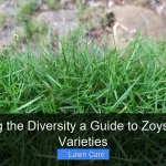 Exploring the Diversity a Guide to Zoysia Grass Varieties