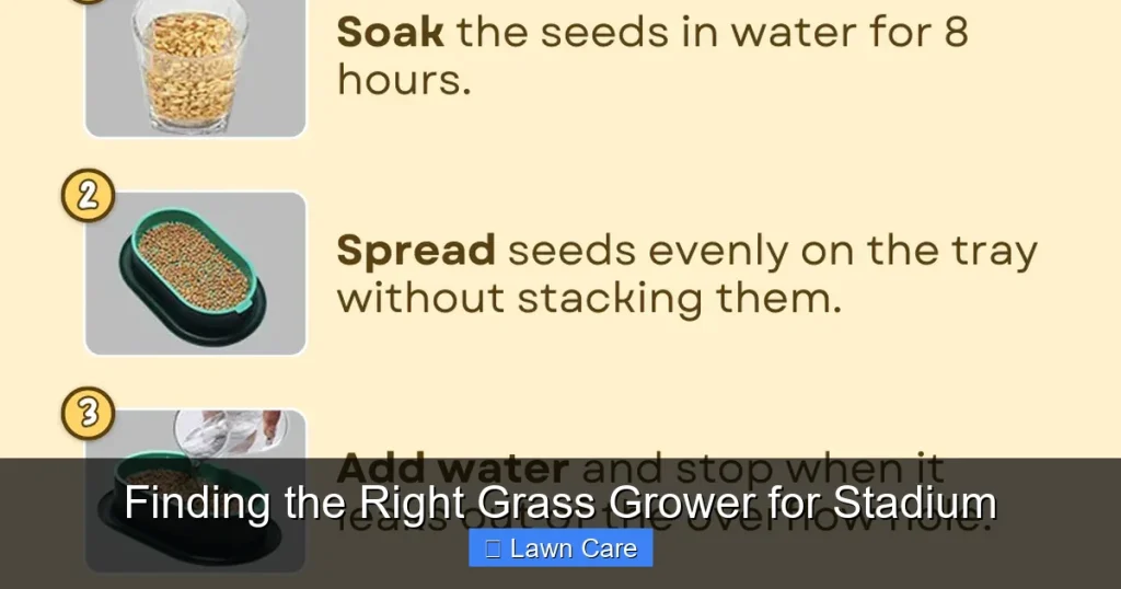 Finding the Right Grass Grower for Stadium