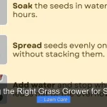 Finding the Right Grass Grower for Stadium