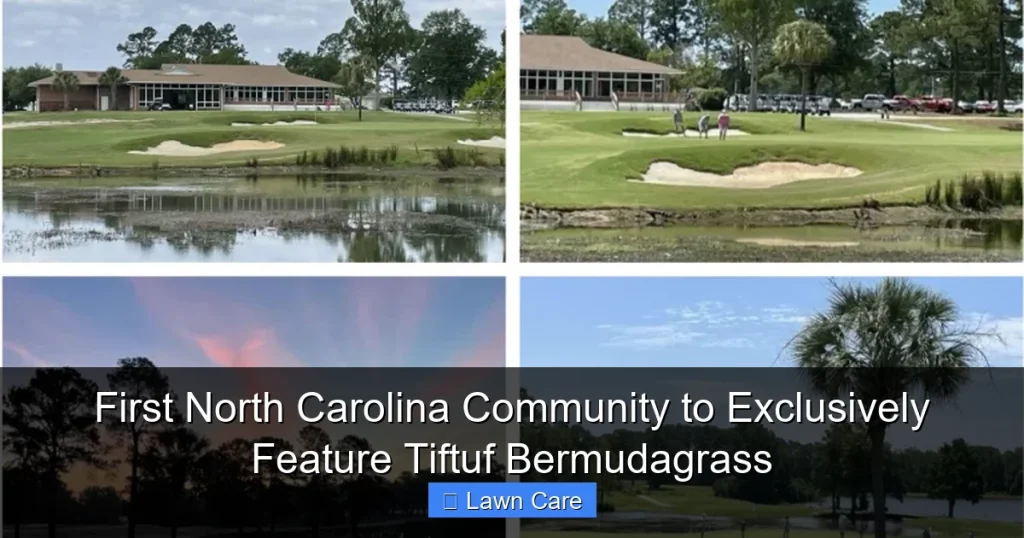 First North Carolina Community to Exclusively Feature Tiftuf Bermudagrass