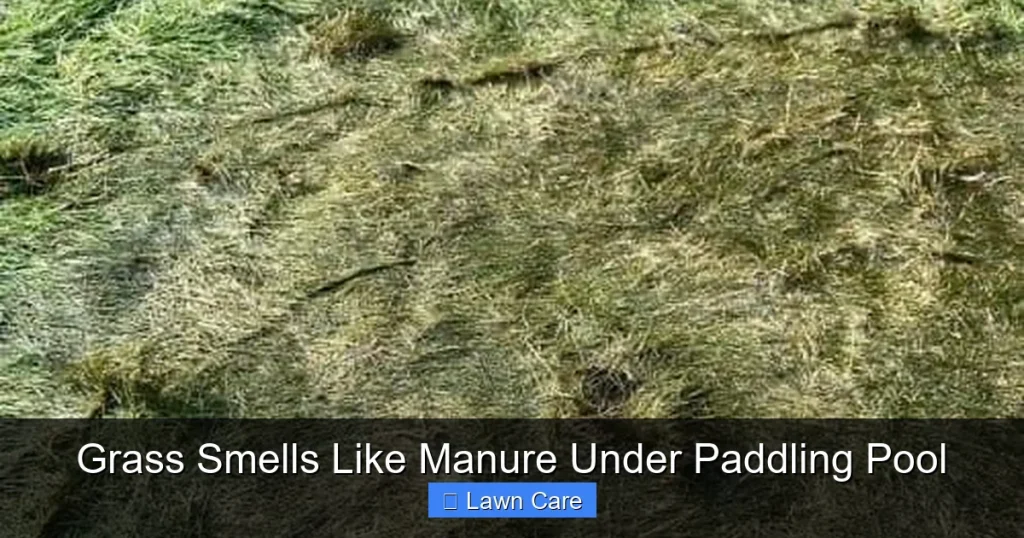 Grass Smells Like Manure Under Paddling Pool