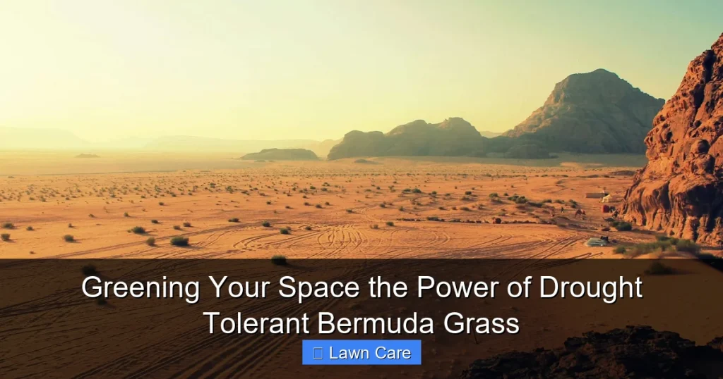 Greening Your Space the Power of Drought Tolerant Bermuda Grass