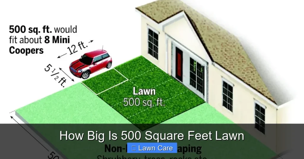 How Big Is 500 Square Feet Lawn