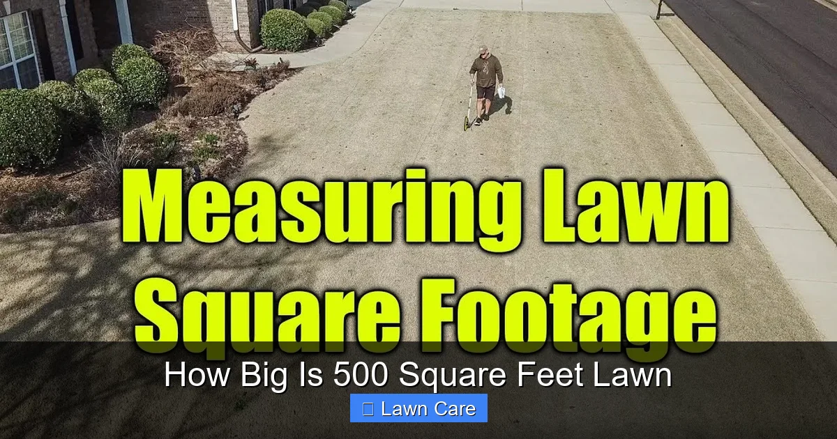 How Big Is 500 Square Feet Lawn