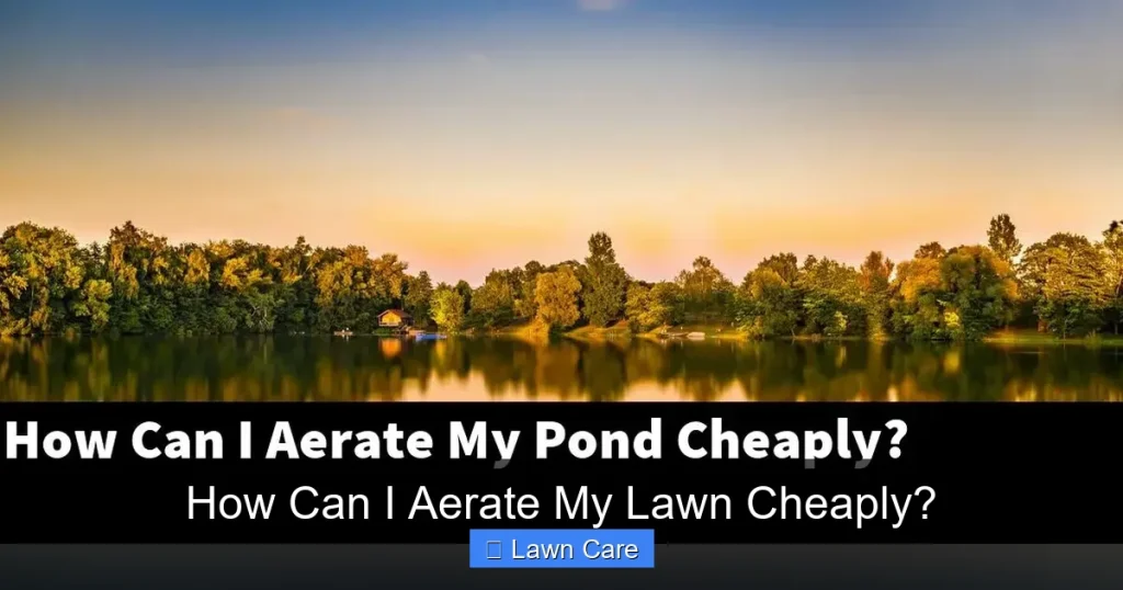 How Can I Aerate My Lawn Cheaply?