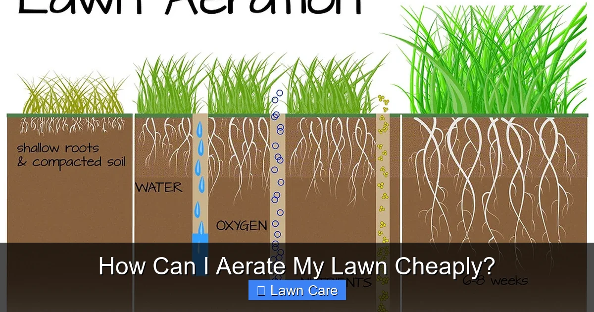 How Can I Aerate My Lawn Cheaply?